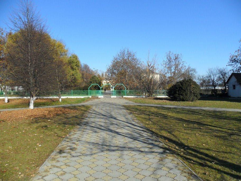 Велика Добронь з panoramio.com - Велика Добронь