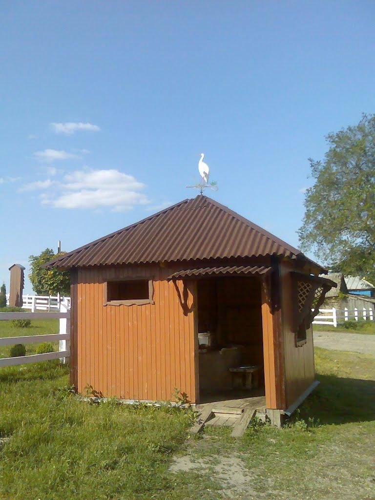 Дубовичі з panoramio.com - Дубовичі