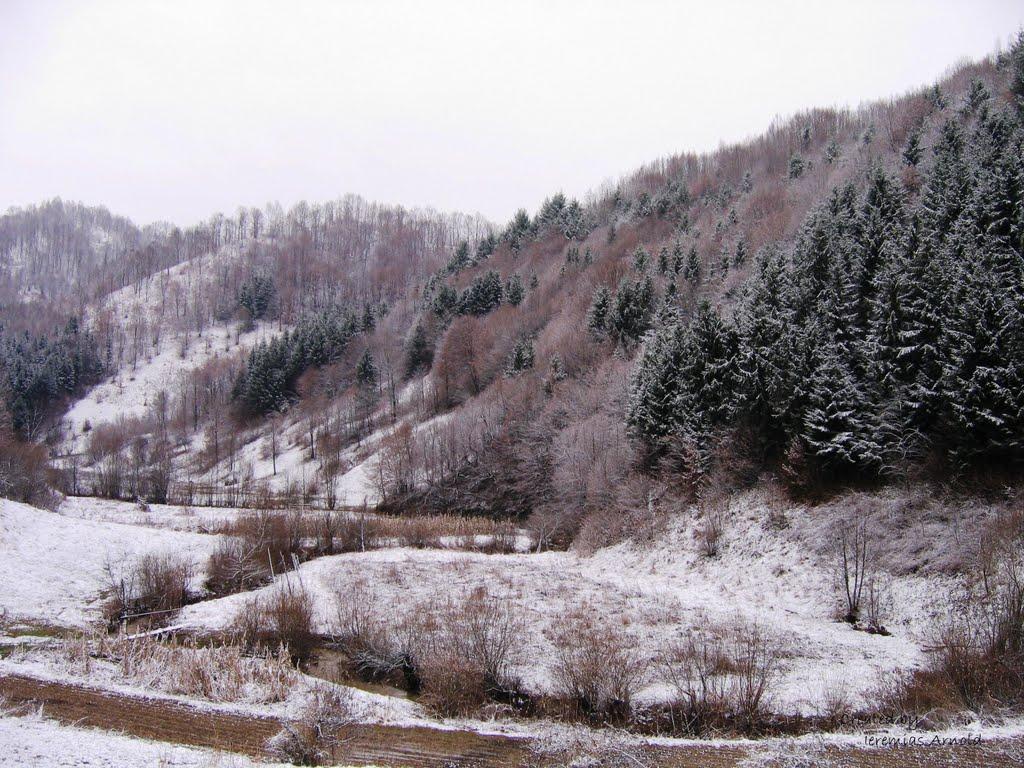 Великий Бичків з panoramio.com - Великий Бычков