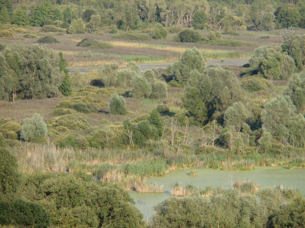 Яшники з panoramio.com - Яшники