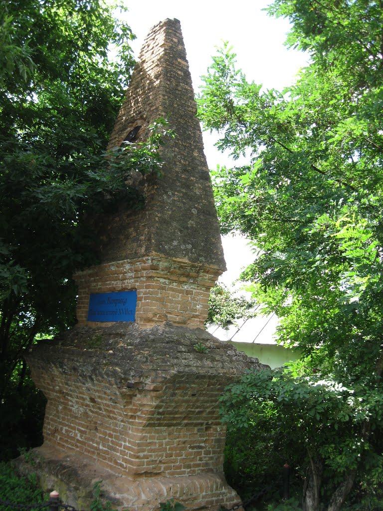 Петрівка з panoramio.com - Петровка
