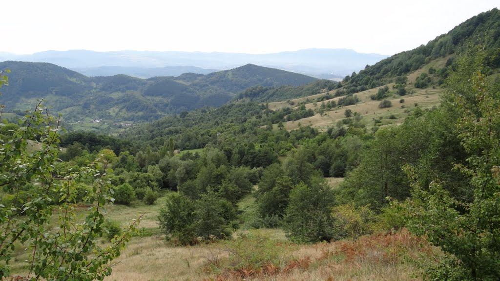 Біла Церква з panoramio.com - Біла Церква
