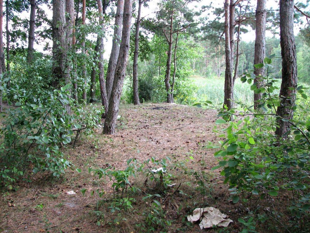 Стригани з panoramio.com - Стриганы