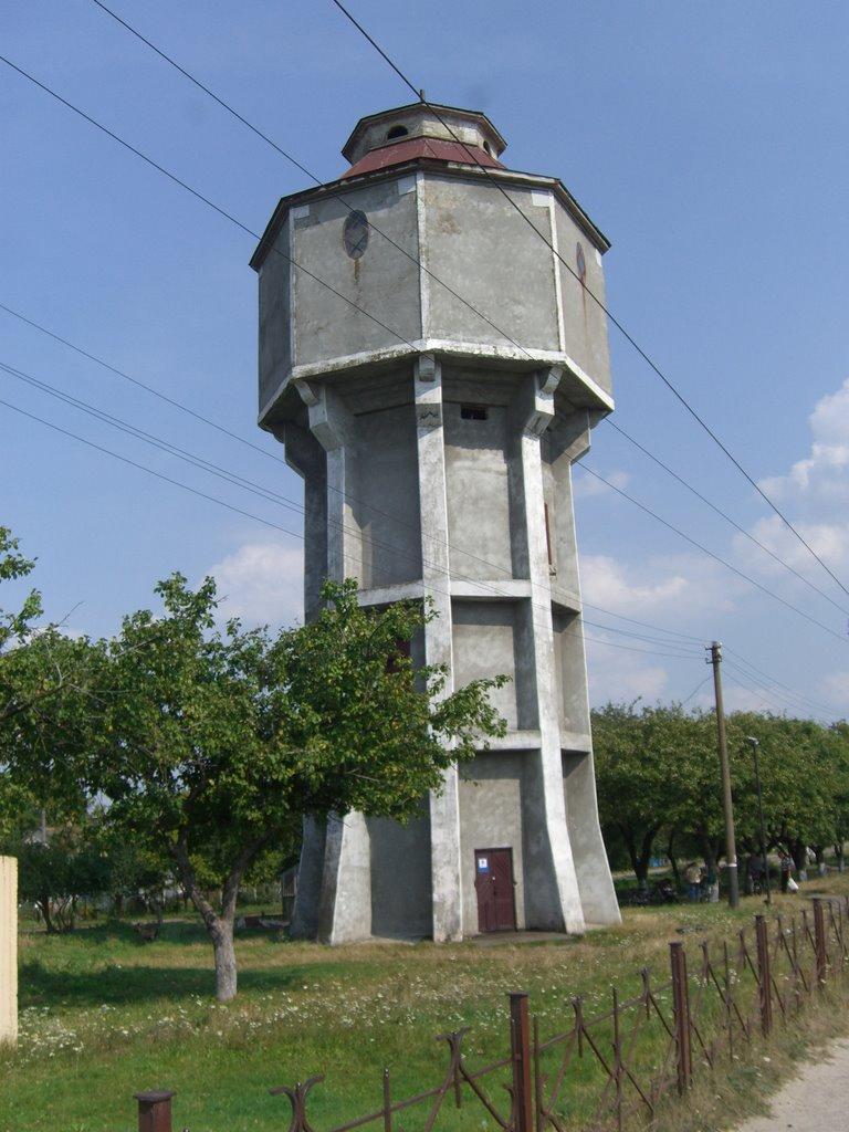 Голоби з panoramio.com - Голоби