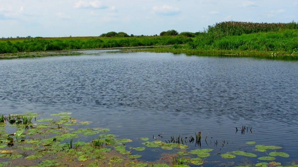 Кузнецовськ з panoramio.com - Varash