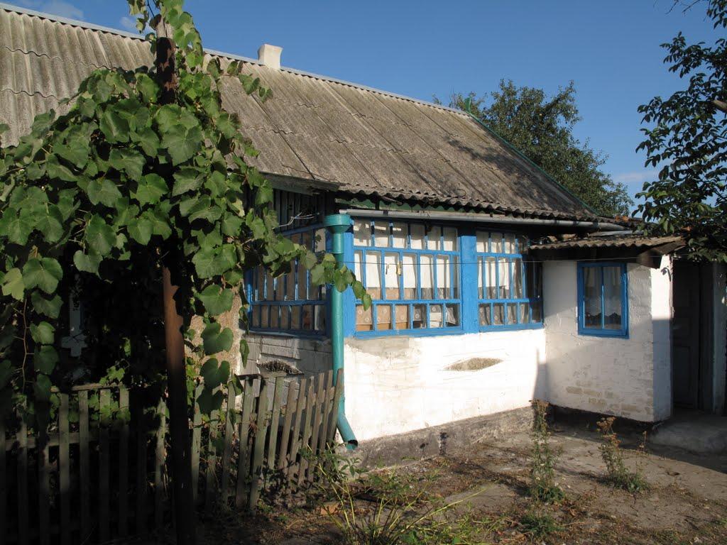 Антонівське з panoramio.com - Антоновское