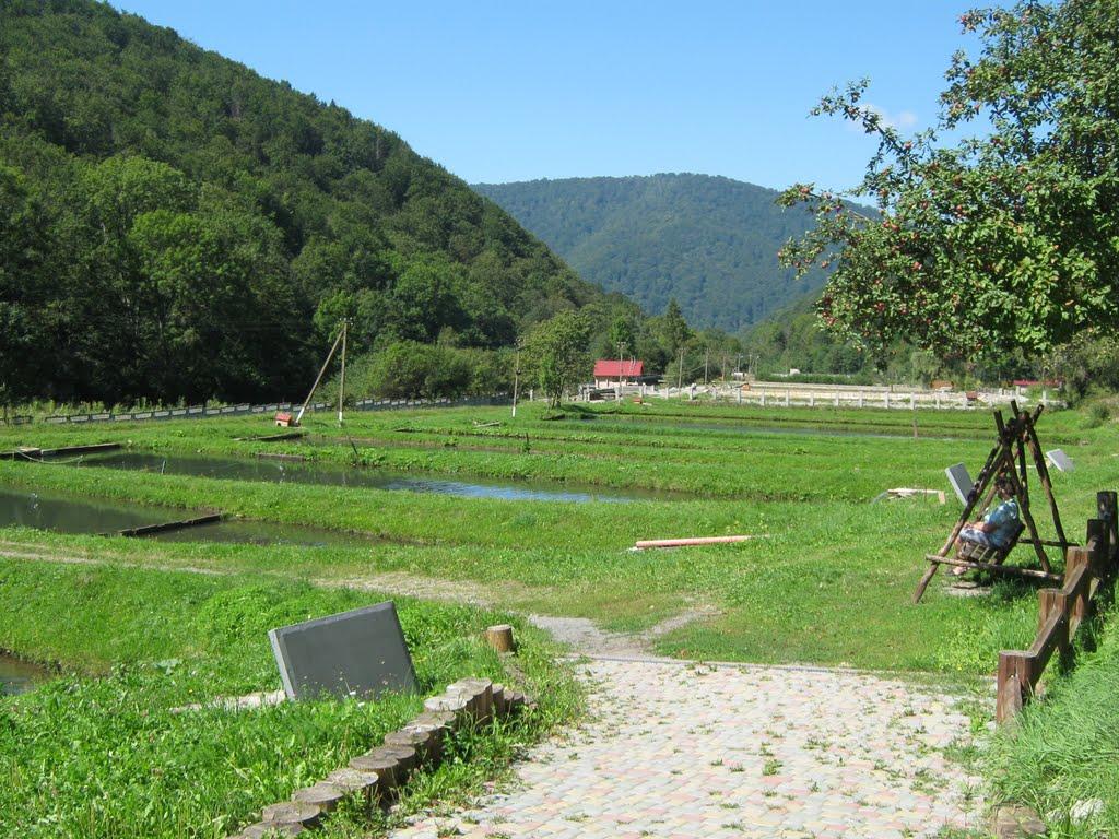 Вовчий з panoramio.com - Вовчий