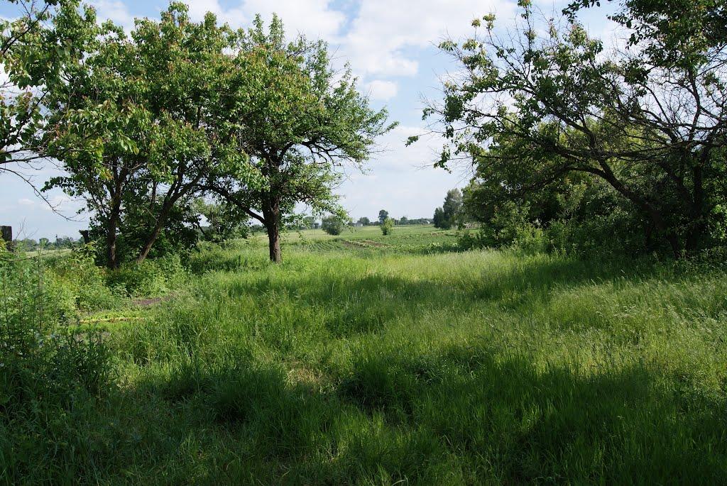 Смолянка з panoramio.com - Смолянка