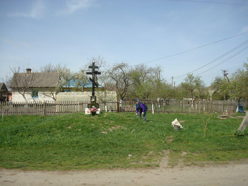 Дроздні з panoramio.com - Дроздни