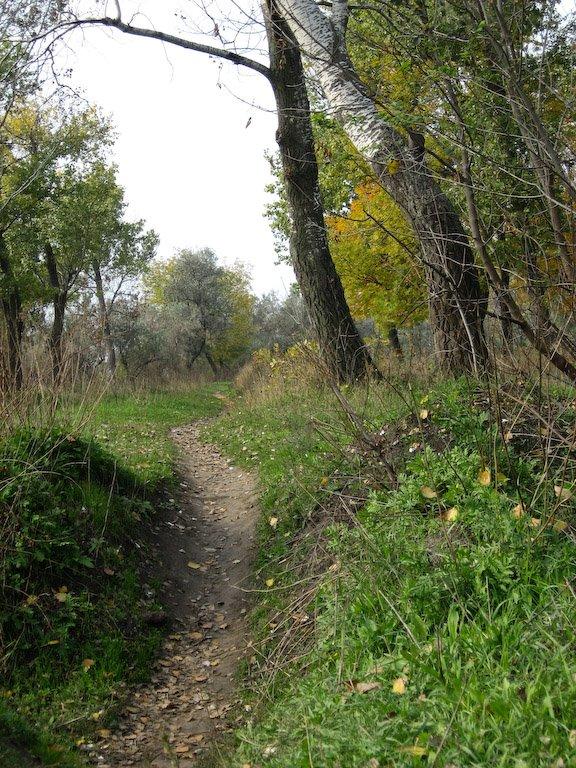 Верхній Бистрий з panoramio.com - Верхній Бистрий