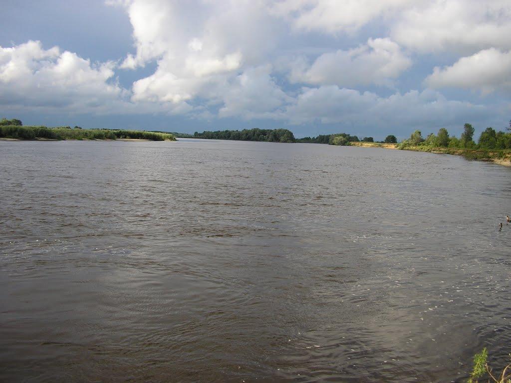 Миси з panoramio.com - Mysy