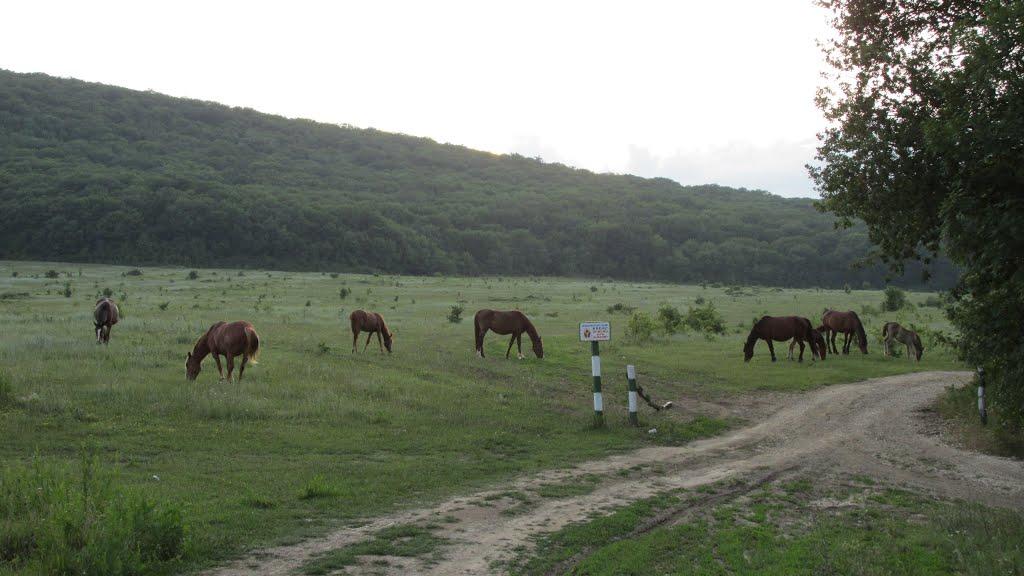 Перевалівка з panoramio.com - Переваловка