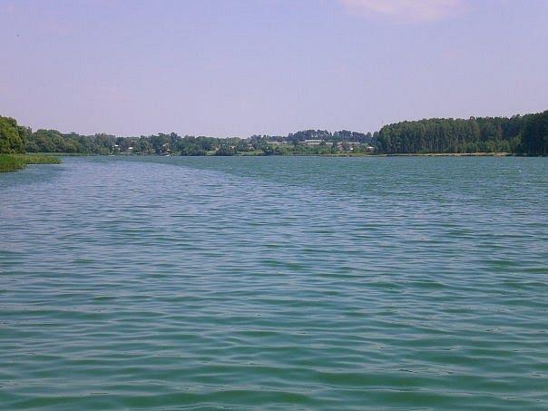 Дубовичі з panoramio.com - Дубовичі