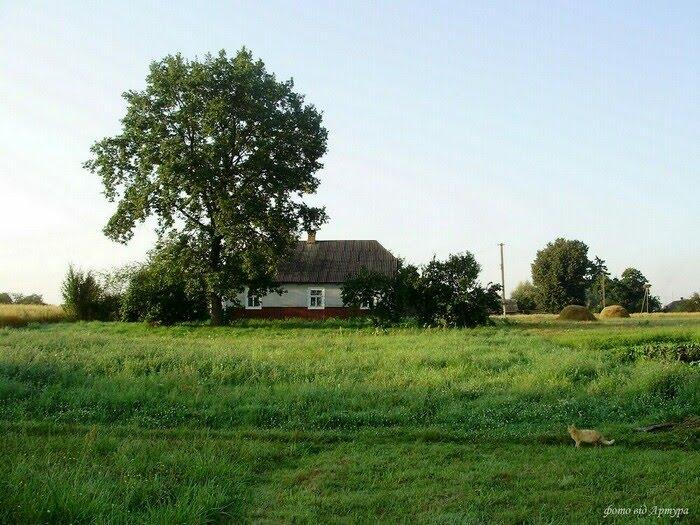 Звози з panoramio.com - Zvozy