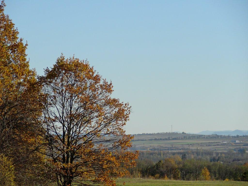 Корчівці з panoramio.com - Korchivtsi