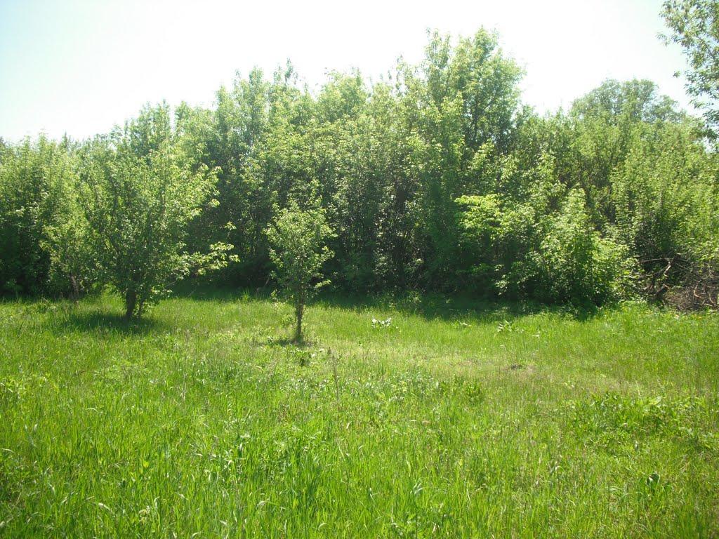 Любитове з panoramio.com - Любитово