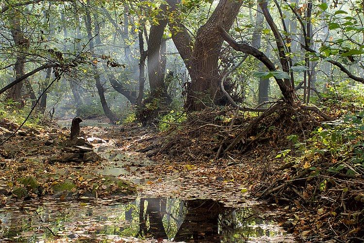 Кам'янка з panoramio.com - Каменка