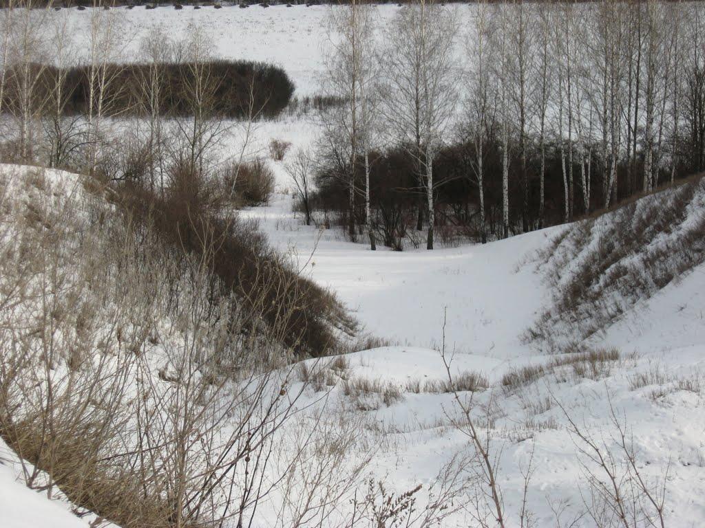 Великий Бурлук з panoramio.com - Великий Бурлук