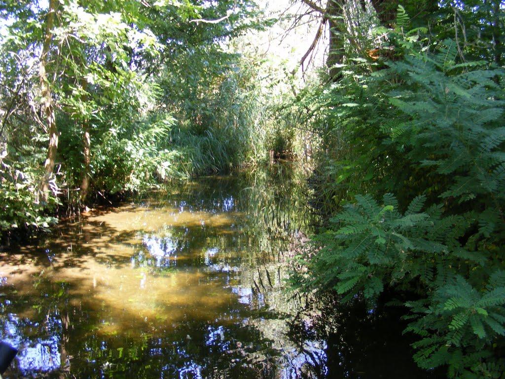 Стара Збур'ївка з panoramio.com - Стара Збур'ївка