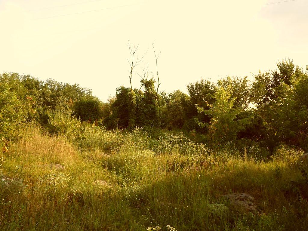 Мигія з panoramio.com - Mygiya