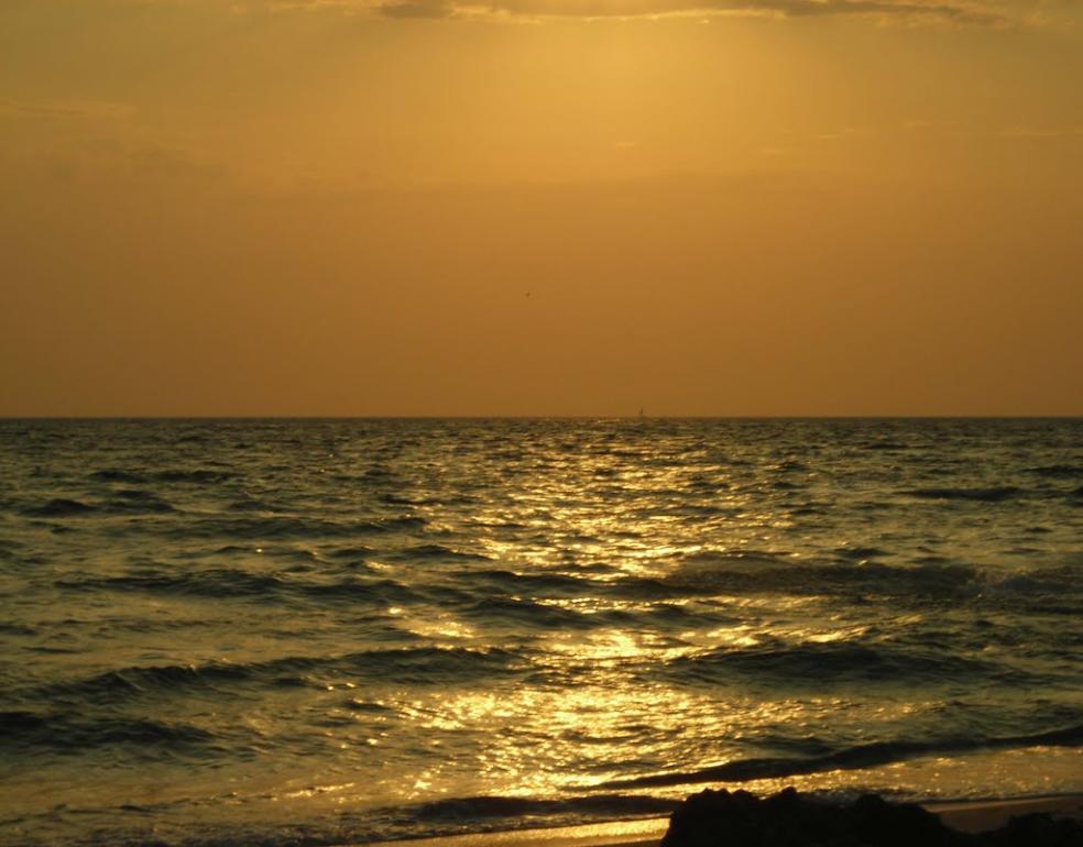 Молочне з panoramio.com - Молочне