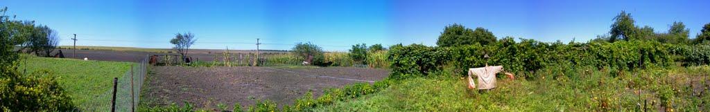 Широка Балка з panoramio.com - Широка Балка