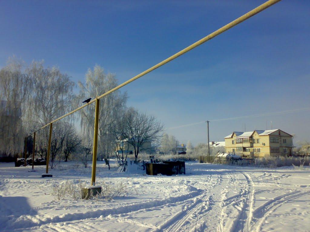 Щорсівка з panoramio.com - Билошици