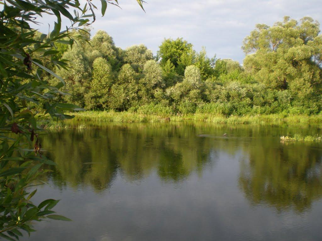 Чаплищі з panoramio.com - Чаплищи