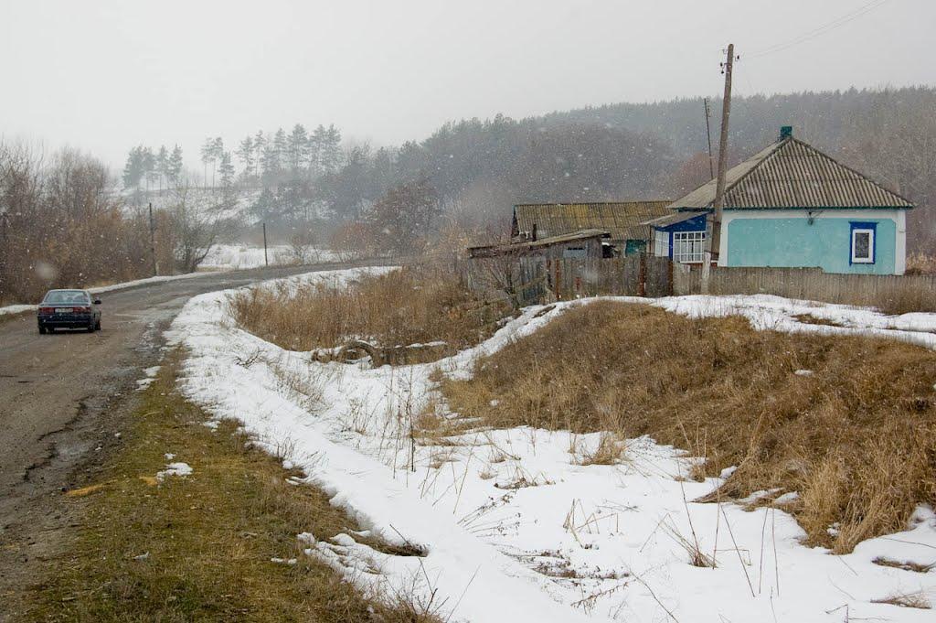 Скрипаї з panoramio.com - Скрипаи