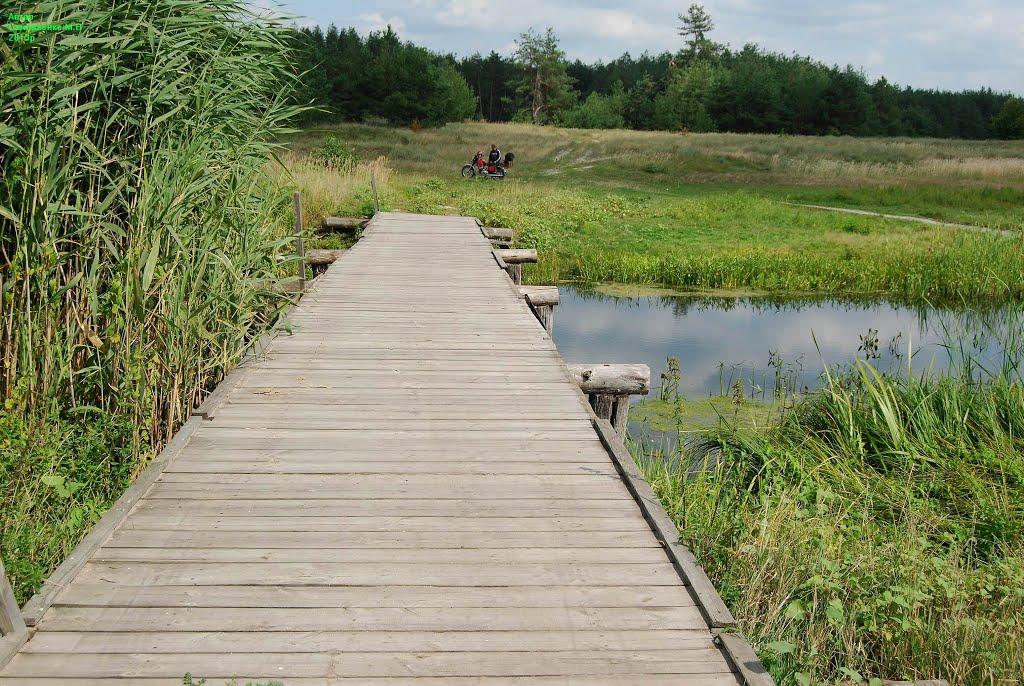 Васьки з panoramio.com - Васьки