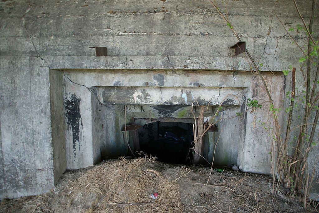 Циків з panoramio.com - Цыков