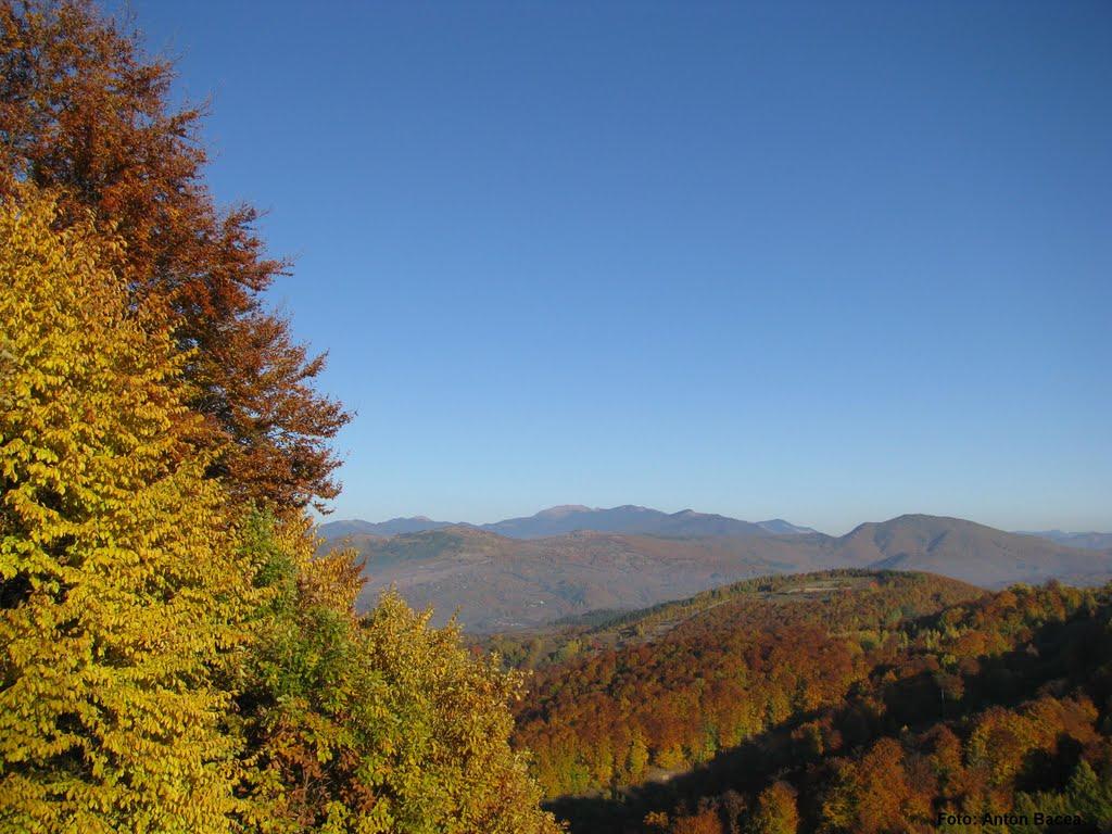 Великий Бичків з panoramio.com - Великий Бычков