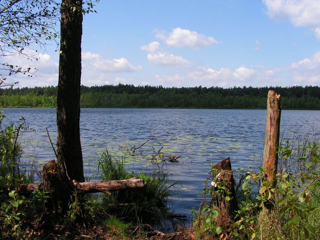 Забужжя з panoramio.com - Забужье
