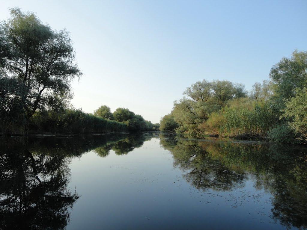 Ліски з panoramio.com - Лески