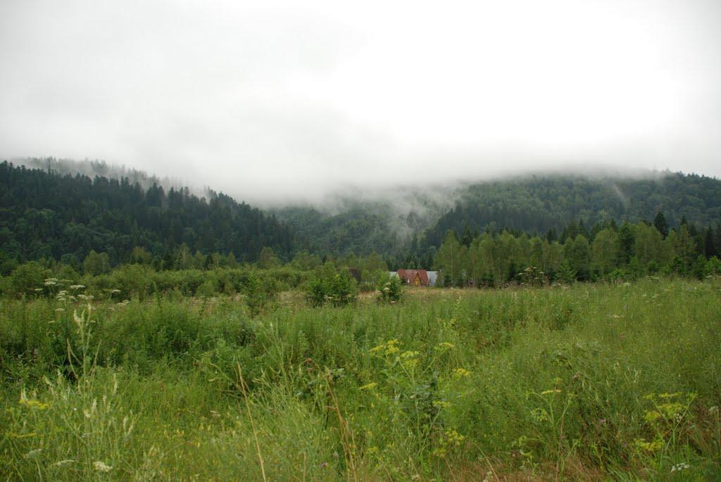 Підсухе з panoramio.com - Підсухе