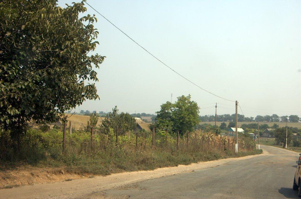 Приморське з panoramio.com - Приморское