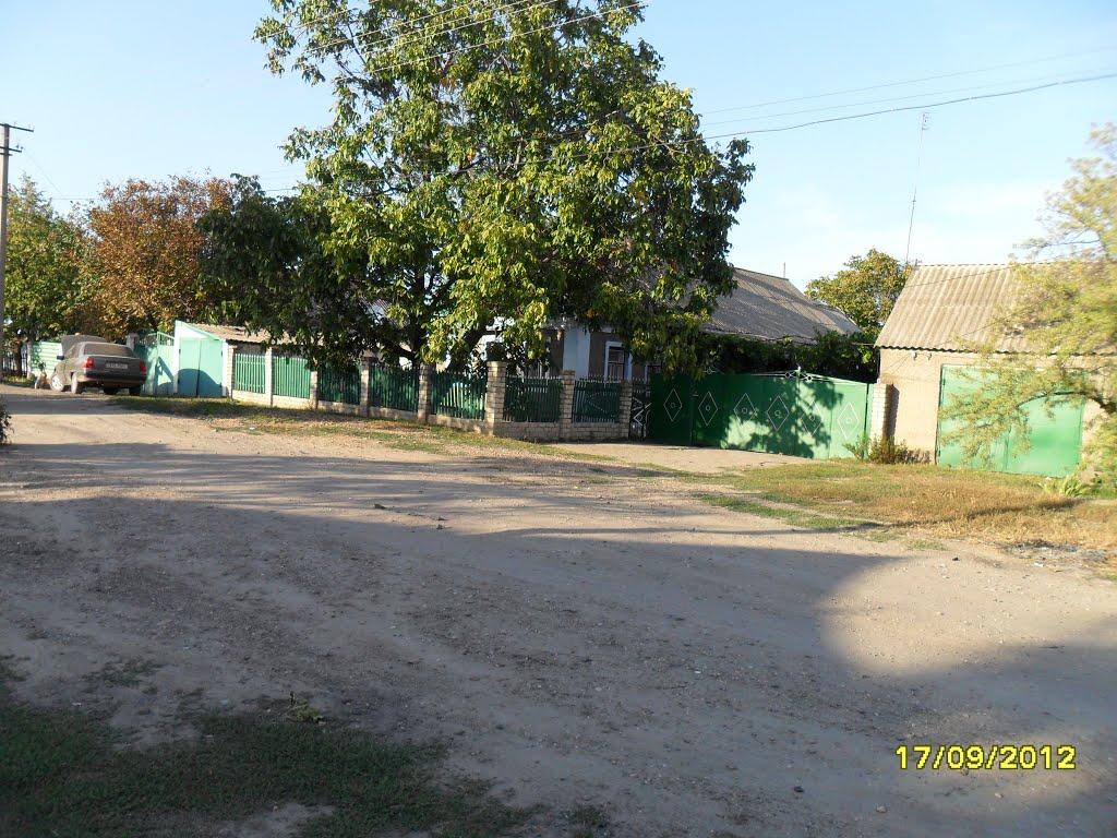 Снігурівка з panoramio.com - Снігурівка