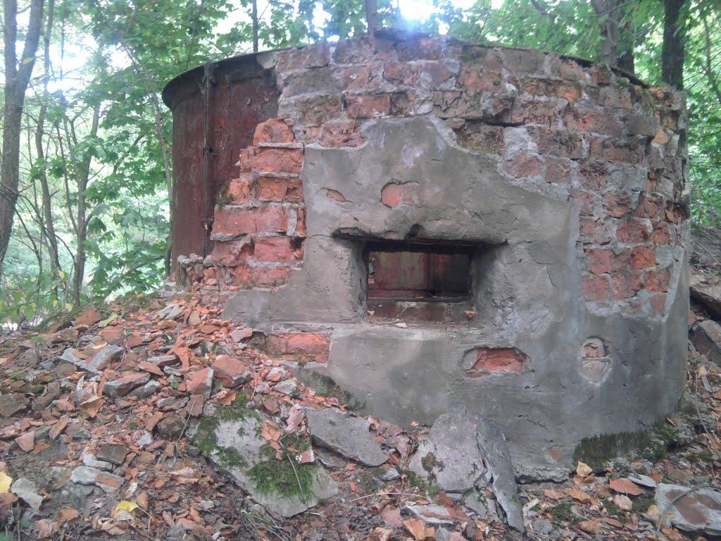 Кушкине з panoramio.com - Кушкино