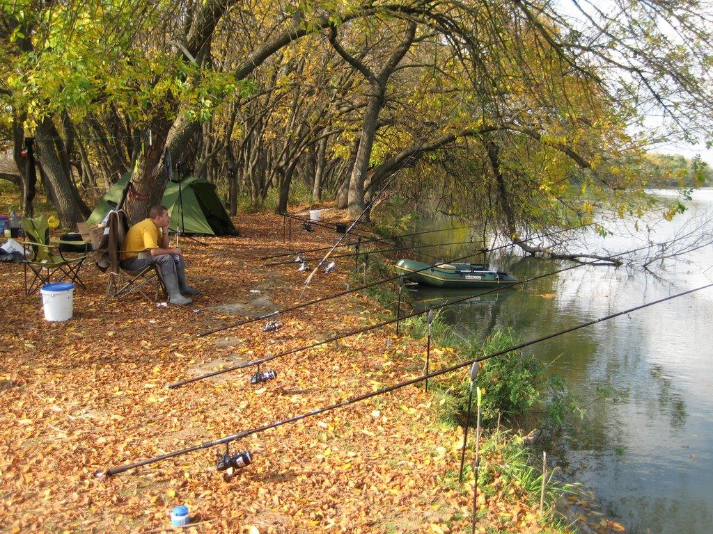 Ліски з panoramio.com - Лески