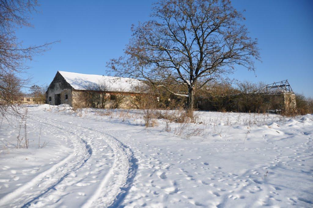 Глібовичі з panoramio.com - Глібовичі