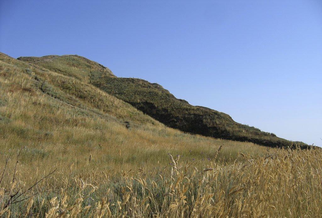 Підгірне з panoramio.com - Підгірне