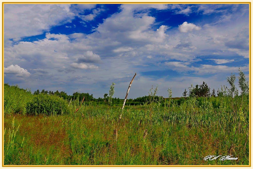 Новокраснянка з panoramio.com - Новокраснянка