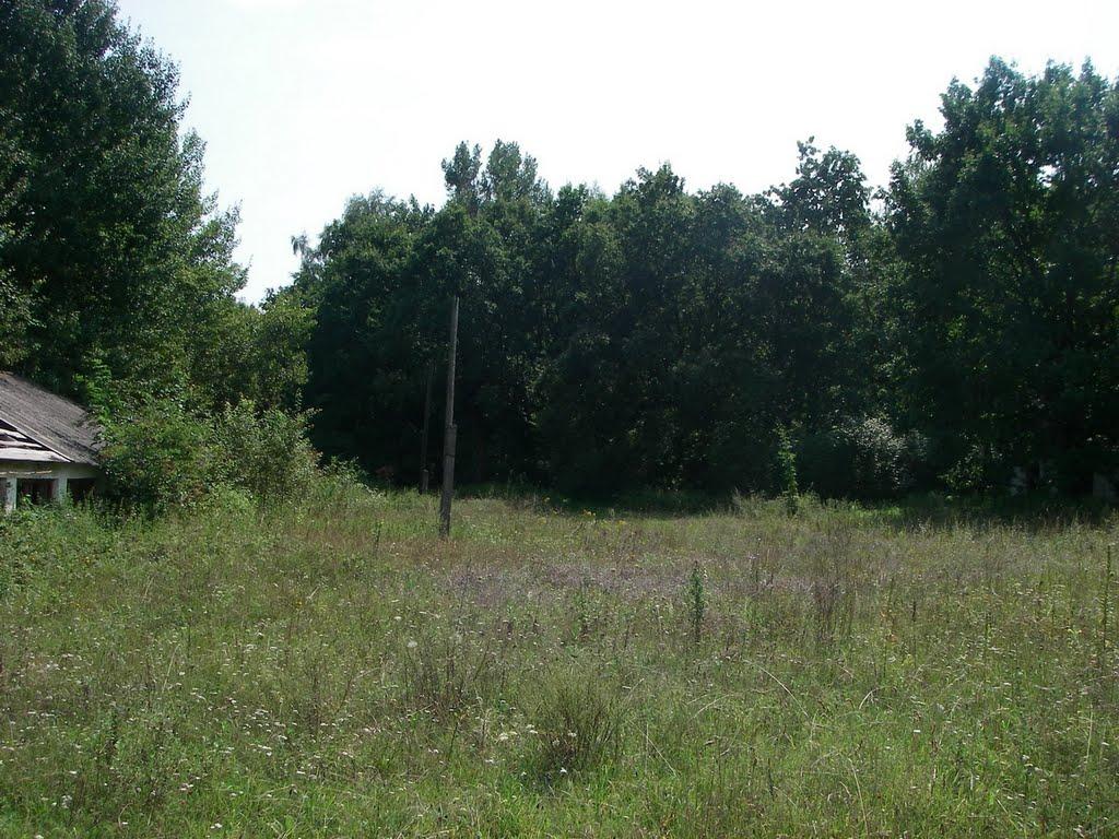 Виповзів з panoramio.com - Виповзів