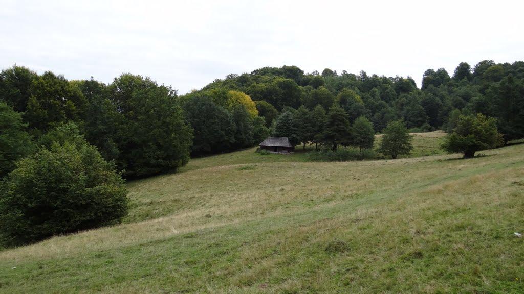 Біла Церква з panoramio.com - Біла Церква
