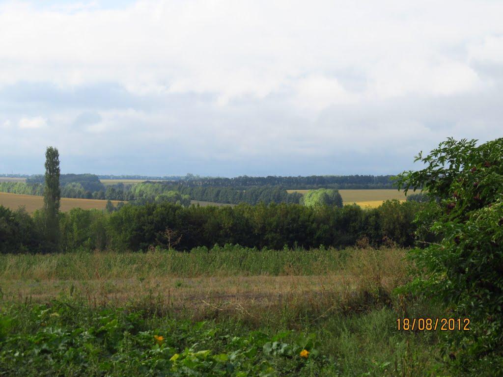 Першотравневе з panoramio.com - Першотравневе
