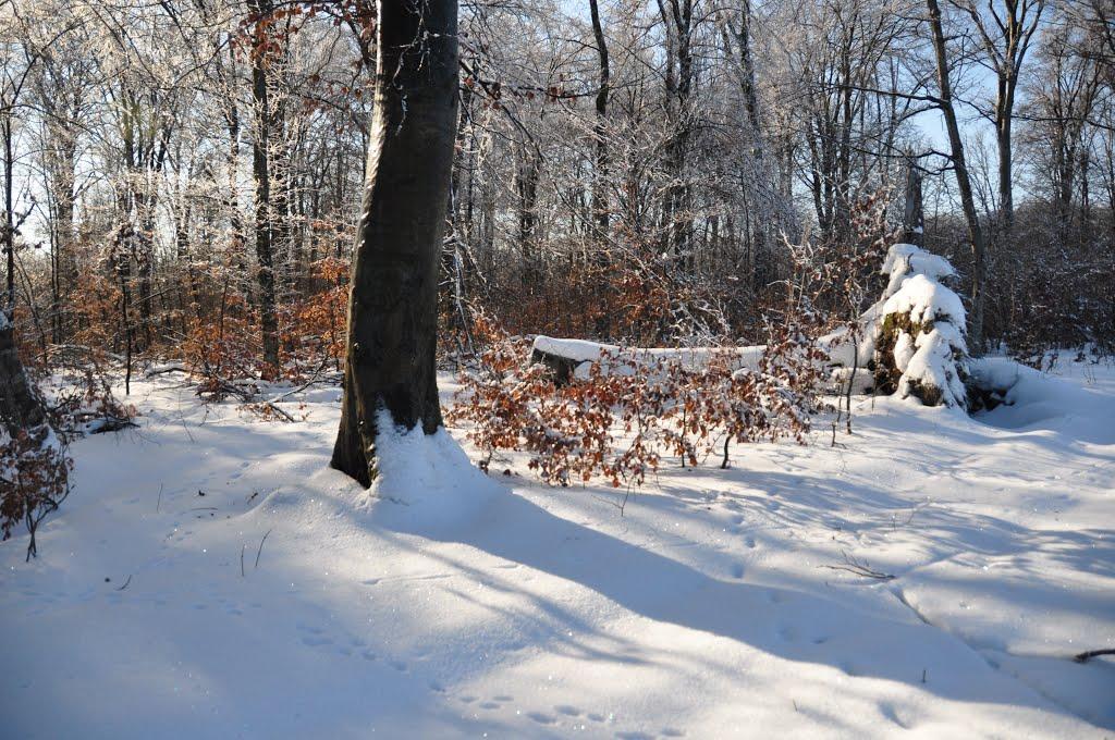 Глібовичі з panoramio.com - Глебовичи