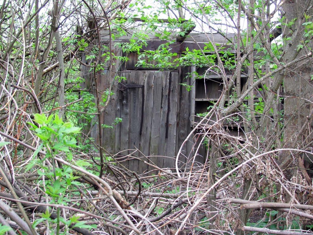 Чеснівка з panoramio.com - Чеснівка