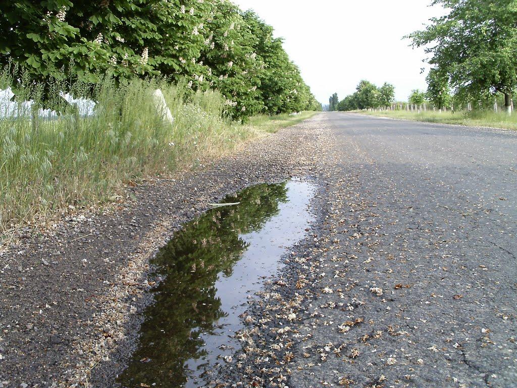 Вознесенськ з panoramio.com - Вознесенськ