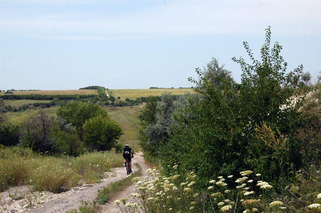 Причепилівка з panoramio.com - Причепиловка