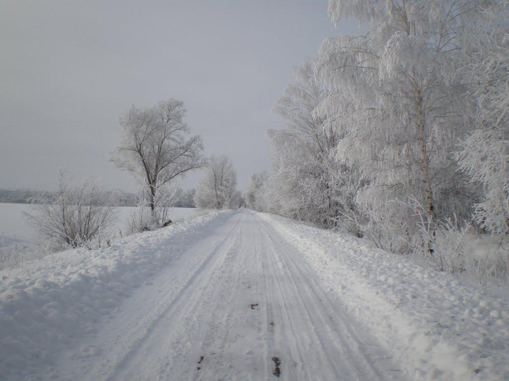 Роща з panoramio.com - Roscha